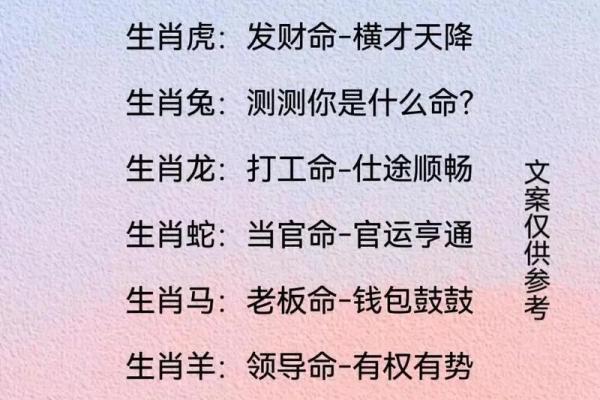 生肖运势详解 生肖运势详解