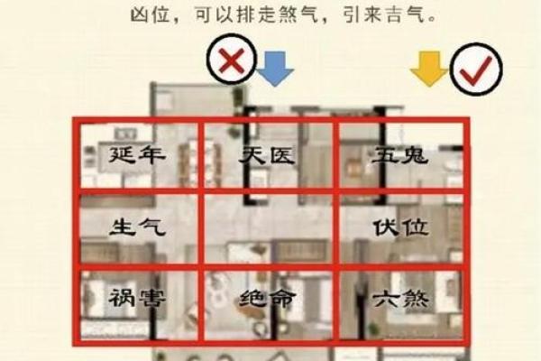 调理肠胃与家居风水的完美结合 调理肠胃与家居风水的完美结合