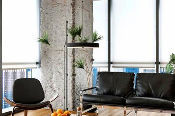 办公室风水布局:如何为属鼠的你创造最佳工作环境 办公室风水布局:如何为属鼠的你创造最佳工作环境