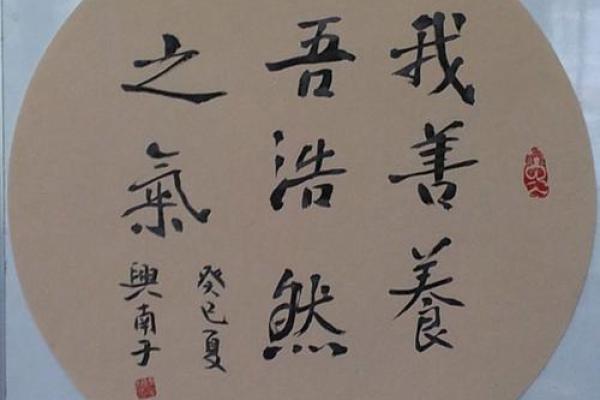 宝宝起名浩,寓意聪慧与浩然正气 宝宝起名浩,寓意聪慧与浩然正气