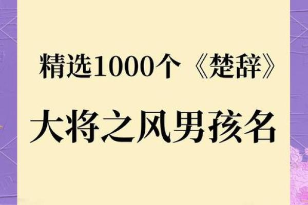 传承楚辞文化的男孩名字精选 传承楚辞文化的男孩名字精选