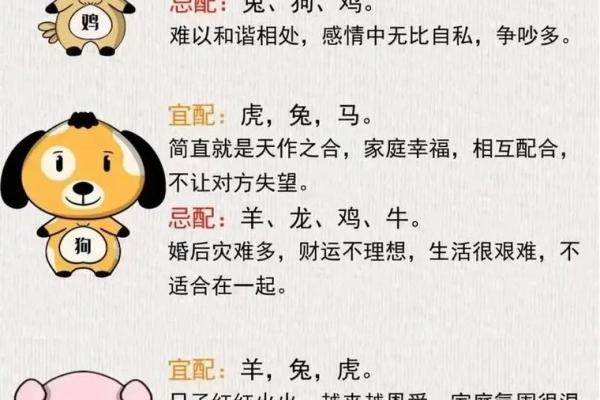 八字合婚如何提高婚姻匹配度 八字合婚如何提高婚姻匹配度