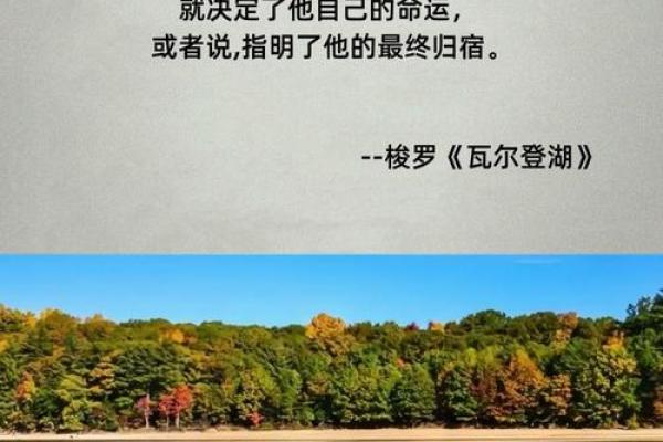 纯净人生:名字赋予的力量与哲理 纯净人生:名字赋予的力量与哲理