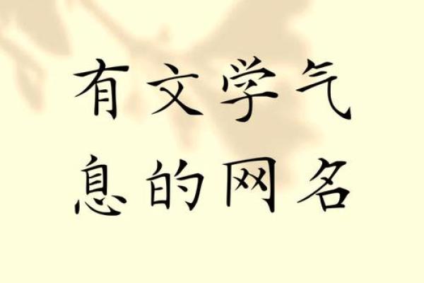 充满文化气息的名字,体现独特魅力 充满文化气息的名字,体现独特魅力