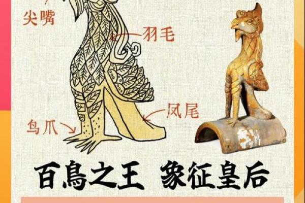 不同文化中的神兽与其独特名字 不同文化中的神兽与其独特名字