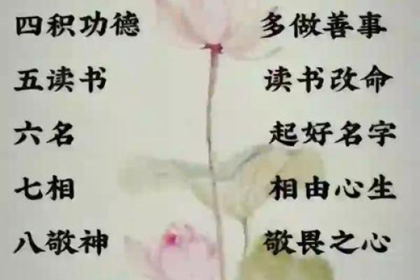 从入命看个人运势的起伏与转变