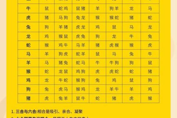 出生的人五行属性分析,看看你属什么命? 出生的人五行属性分析,看看你属什么命?