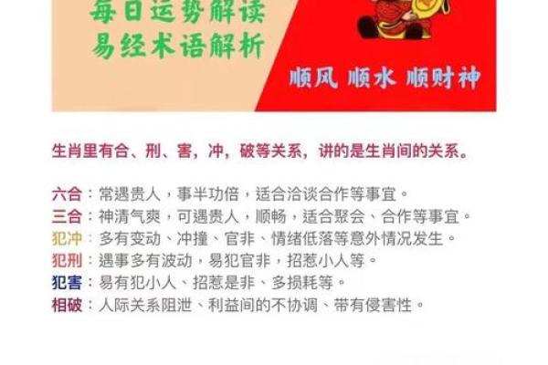 本命年属虎如何增强心灵力量 本命年属虎如何增强心灵力量