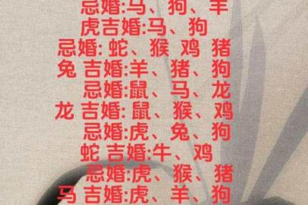 和龙相配的生肖组合，命运之选