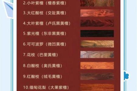 深入了解木材命名的科学与艺术