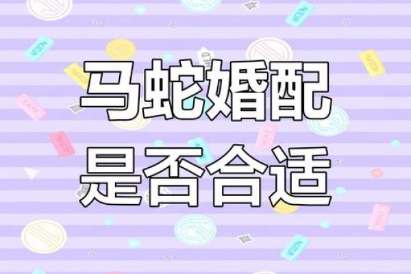 属马男女是否适合结婚？解读他们的性格与婚姻匹配