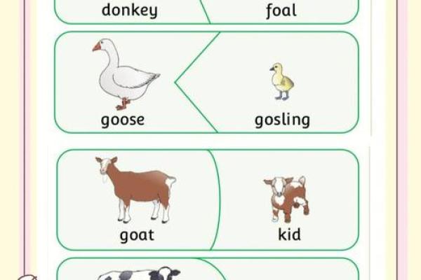 取个独特鸡宝宝名字的五大灵感来源 取个独特鸡宝宝名字的五大灵感来源