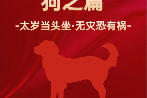 属狗全年运程揭秘,遇到哪些挑战与机遇 属狗全年运程揭秘,遇到哪些挑战与机遇