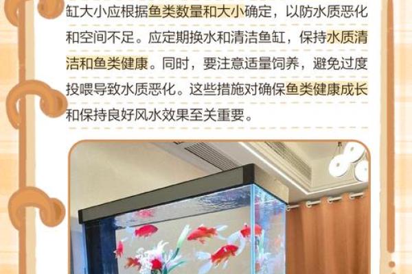 办公室放鱼缸的风水禁忌与注意事项 办公室放鱼缸的风水禁忌与注意事项