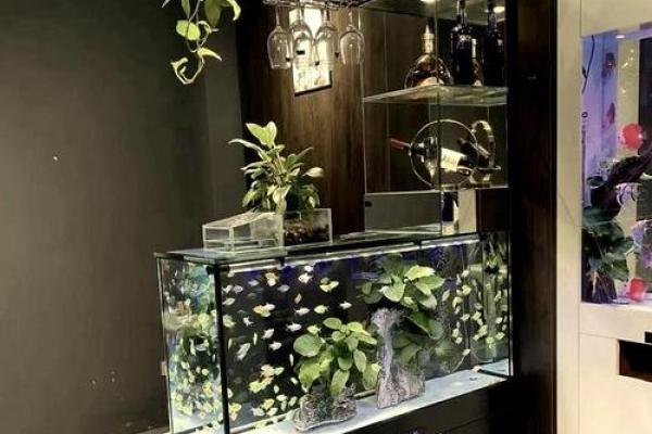 办公室放鱼缸的风水禁忌与注意事项 办公室放鱼缸的风水禁忌与注意事项