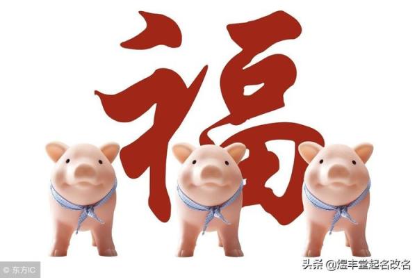 猪年出生宝宝命名建议与个性化创意 猪年出生宝宝命名建议与个性化创意
