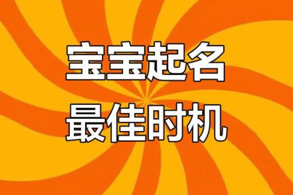 宝宝百姓名字选择指南 宝宝百姓名字选择指南