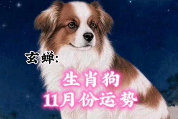 每月运势更新:狗人如何应对生活中的挑战与机遇 每月运势更新:狗人如何应对生活中的挑战与机遇