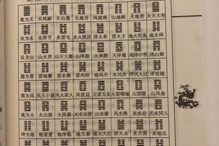 初学者必看：五行云注册流程及注意事项