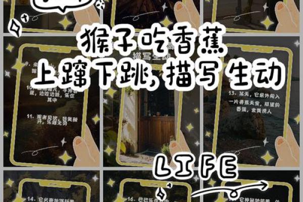 猴宝宝取名推荐与技巧 猴宝宝取名推荐与技巧