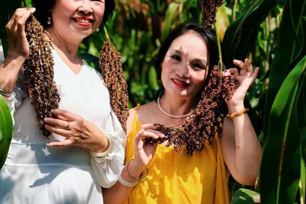 农历八月,丰收季节背后的农业秘诀 农历八月,丰收季节背后的农业秘诀