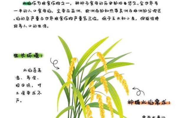 农历八月,丰收季节背后的农业秘诀 农历八月,丰收季节背后的农业秘诀