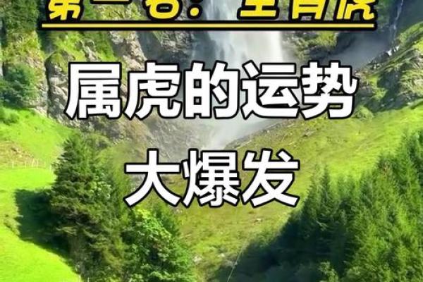 本命年属虎人如何提高健康运势 本命年属虎人如何提高健康运势