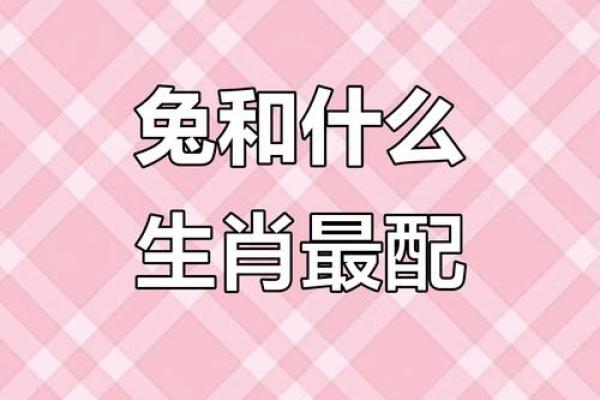 生肖配对属兔男与属鸡女的相容性探讨