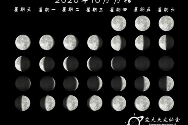 探秘农历十月:传统与现代的完美融合 探秘农历十月:传统与现代的完美融合