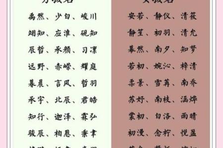 宝宝生辰八字取名打分，如何选出最合适的名字？专家教你一步步轻松搞定！
