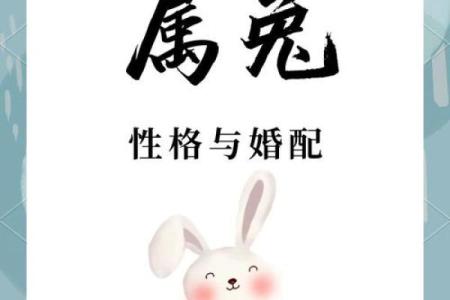 生肖配对属兔男与属鸡女的相容性探讨