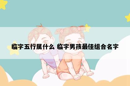 临字五行属什么 临字男孩最佳组合名字