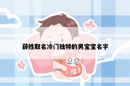 薛姓取名冷门独特的男宝宝名字