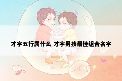 才字五行属什么 才字男孩最佳组合名字