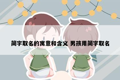 简字取名的寓意和含义 男孩用简字取名