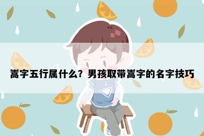 嵩字五行属什么？男孩取带嵩字的名字技巧
