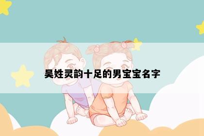吴姓灵韵十足的男宝宝名字