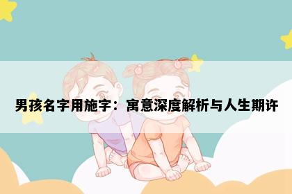 男孩名字用施字：寓意深度解析与人生期许
