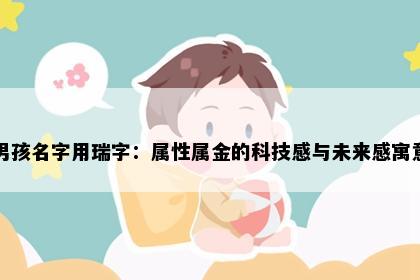 男孩名字用瑞字：属性属金的科技感与未来感寓意