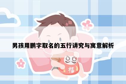 男孩用鹏字取名的五行讲究与寓意解析