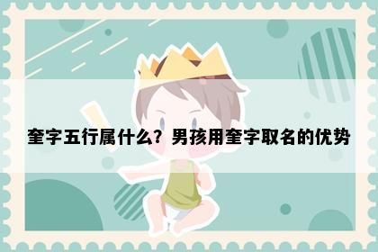 奎字五行属什么？男孩用奎字取名的优势