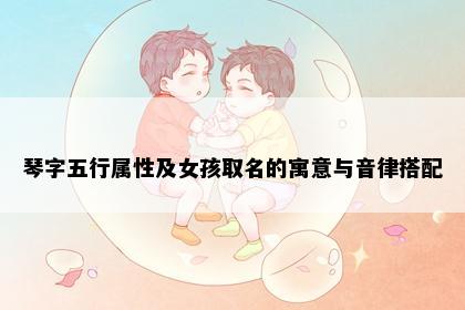 琴字五行属性及女孩取名的寓意与音律搭配