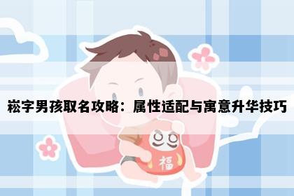 崧字男孩取名攻略：属性适配与寓意升华技巧