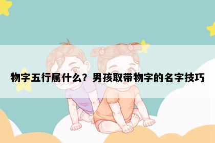 物字五行属什么？男孩取带物字的名字技巧