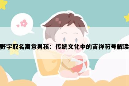 野字取名寓意男孩：传统文化中的吉祥符号解读