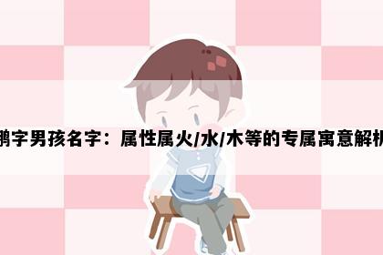 鹏字男孩名字：属性属火/水/木等的专属寓意解析